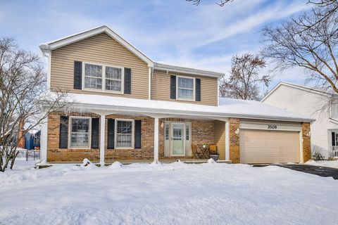Photo of 2509 Brockton Circle, Naperville, IL 60565 (MLS # 12513007)