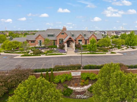 Tiny photo for 4043 Juneberry Road, Naperville, IL 60564 (MLS # 12478829)