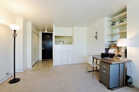 535 N Michigan Avenue 3216