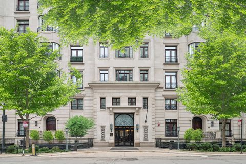 Photo of 65 E GOETHE Street #3W, Chicago, IL 60610 (MLS # 12651986)