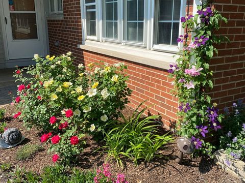 Tiny photo for 619 Oakton Street, Elk Grove Village, IL 60007 (MLS # 12490307)