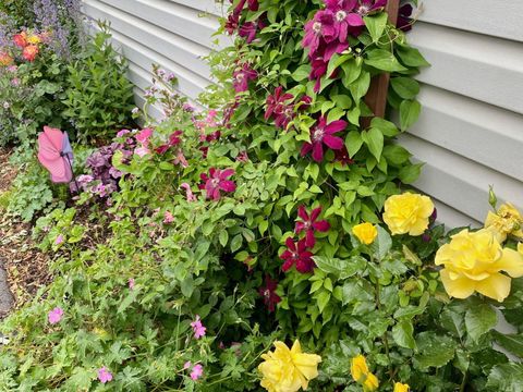 Tiny photo for 619 Oakton Street, Elk Grove Village, IL 60007 (MLS # 12490307)