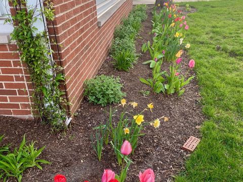 Tiny photo for 619 Oakton Street, Elk Grove Village, IL 60007 (MLS # 12490307)