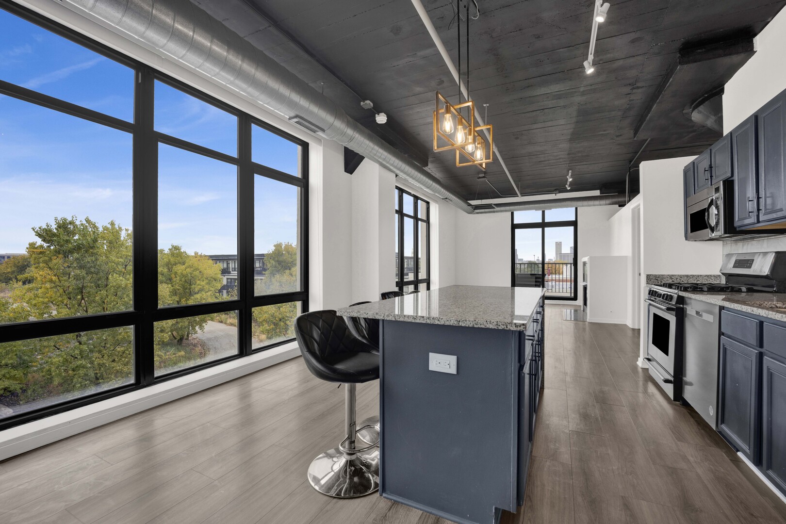 1524 S Sangamon Street 401