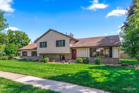 Photo of 13831 S Mallard Drive, Plainfield, IL 60544 (MLS # 12459862)