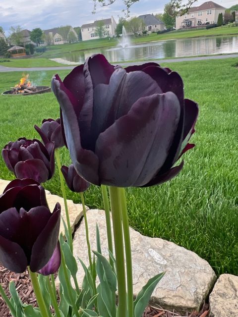 Tiny photo for 1839 Brower Place, Sycamore, IL 60178 (MLS # 12552567)