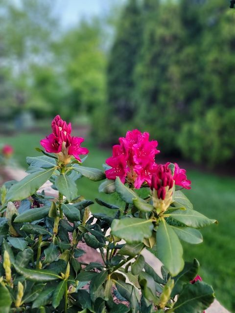 Tiny photo for 1839 Brower Place, Sycamore, IL 60178 (MLS # 12552567)