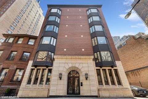 39 E Schiller Street 3W Chicago IL 60610