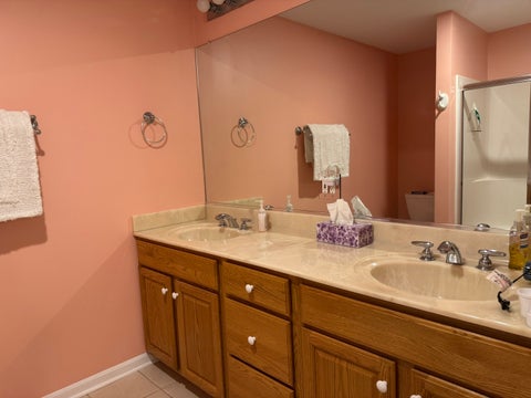 Tiny photo for 505 S Division Street, Peotone, IL 60468 (MLS # 12743794)