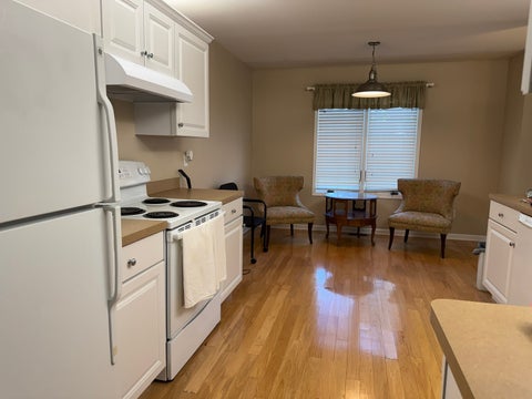 Tiny photo for 505 S Division Street, Peotone, IL 60468 (MLS # 12743794)