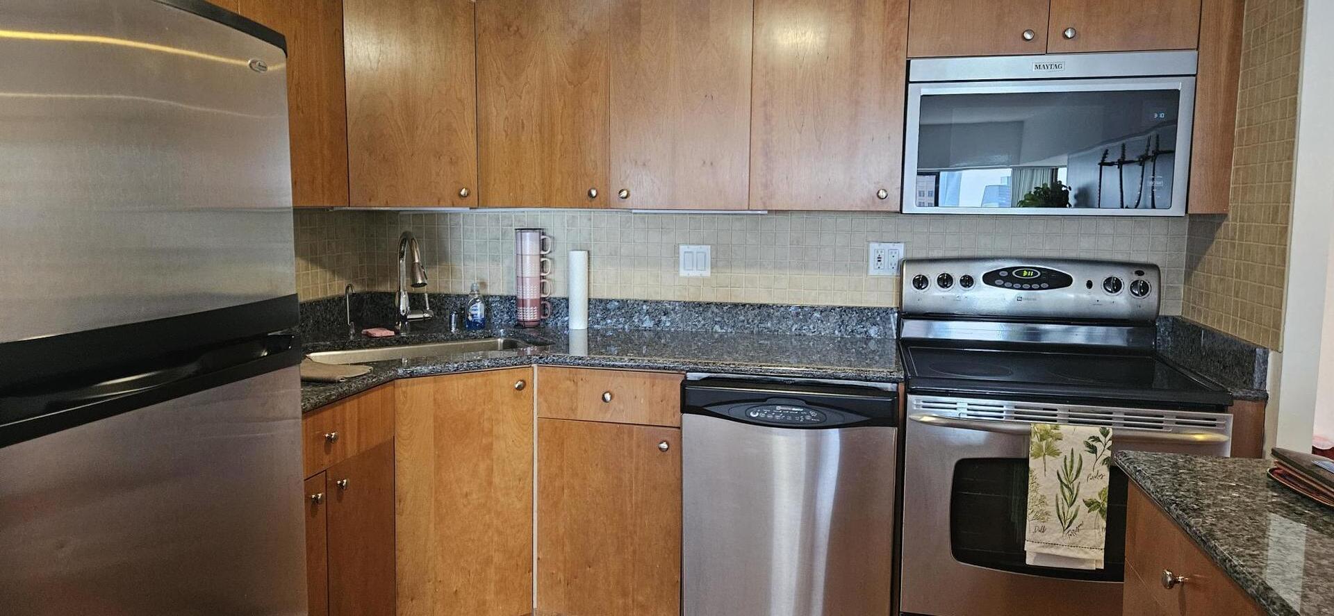 175 E Delaware Place 4522
