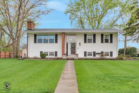 Photo of 300 S Rathje Road, Peotone, IL 60468 (MLS # 12617119)