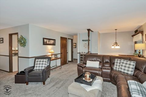 Tiny photo for 300 S Rathje Road, Peotone, IL 60468 (MLS # 12617119)