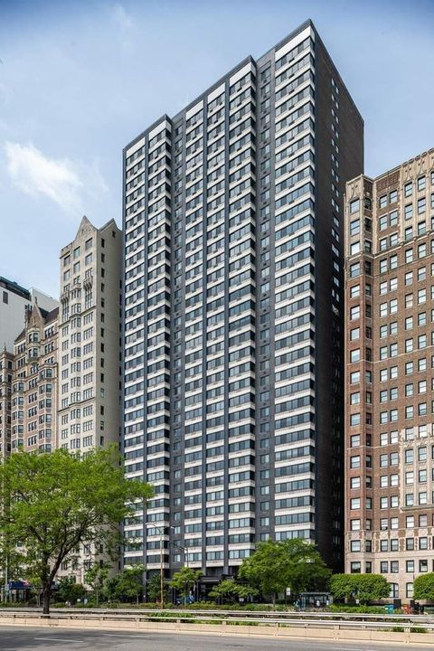 1440 N Lake Shore Drive 12H Chicago IL 60610