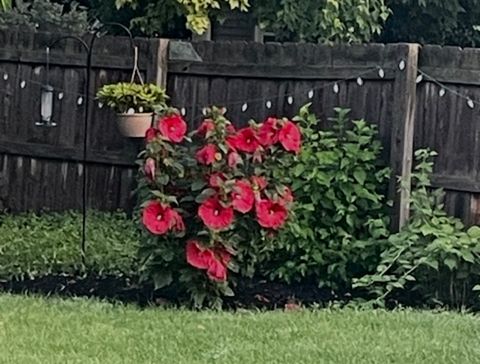 Tiny photo for 953 Cordova Court, Wheaton, IL 60189 (MLS # 12535889)