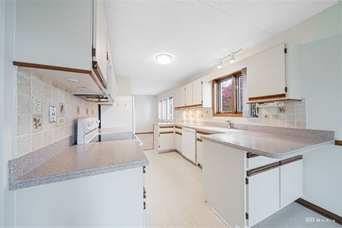 Tiny photo for Palos Park, IL 60464 (MLS # 12585886)