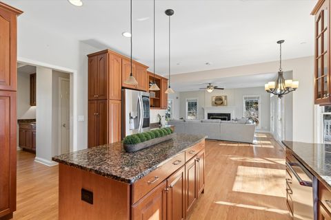 Tiny photo for 3808 Muirwood Court, Long Grove, IL 60047 (MLS # 12572038)