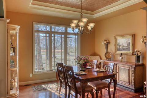 Tiny photo for 10950 PRESTWICK Drive, Benton, IL 62812 (MLS # EB457169)