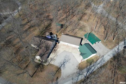 Tiny photo for 10950 PRESTWICK Drive, Benton, IL 62812 (MLS # EB457169)