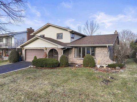 304 E Hiawatha Trail Mount Prospect IL 60056