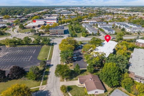 Tiny photo for 972 Thornton Lane #102, Buffalo Grove, IL 60089 (MLS # 12484813)