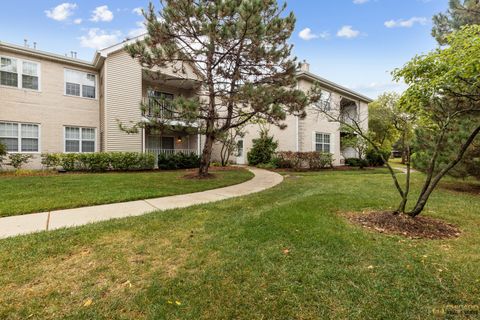 Photo of 784 N Gary Avenue #212, Carol Stream, IL 60188 (MLS # 12491387)