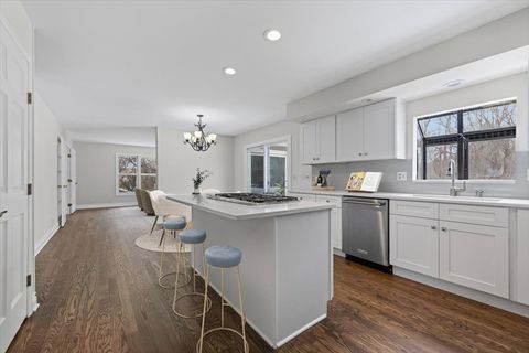 Tiny photo for 147 Deer Lane, Barrington, IL 60010 (MLS # 12534065)