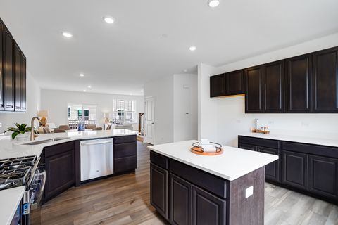 Tiny photo for 225 Settlers Place, West Dundee, IL 60118 (MLS # 12415166)