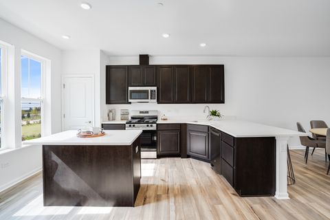 Tiny photo for 225 Settlers Place, West Dundee, IL 60118 (MLS # 12415166)