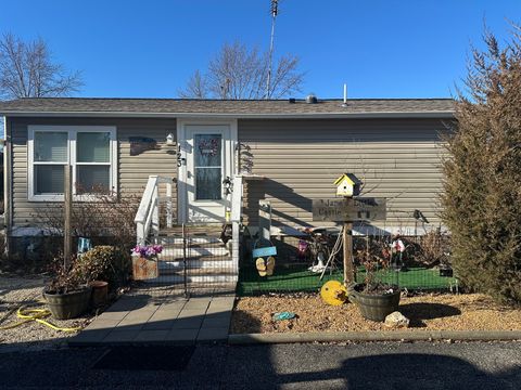 Photo of 123 Largemouth Lane, Wilmington, IL 60481 (MLS # 12573850)