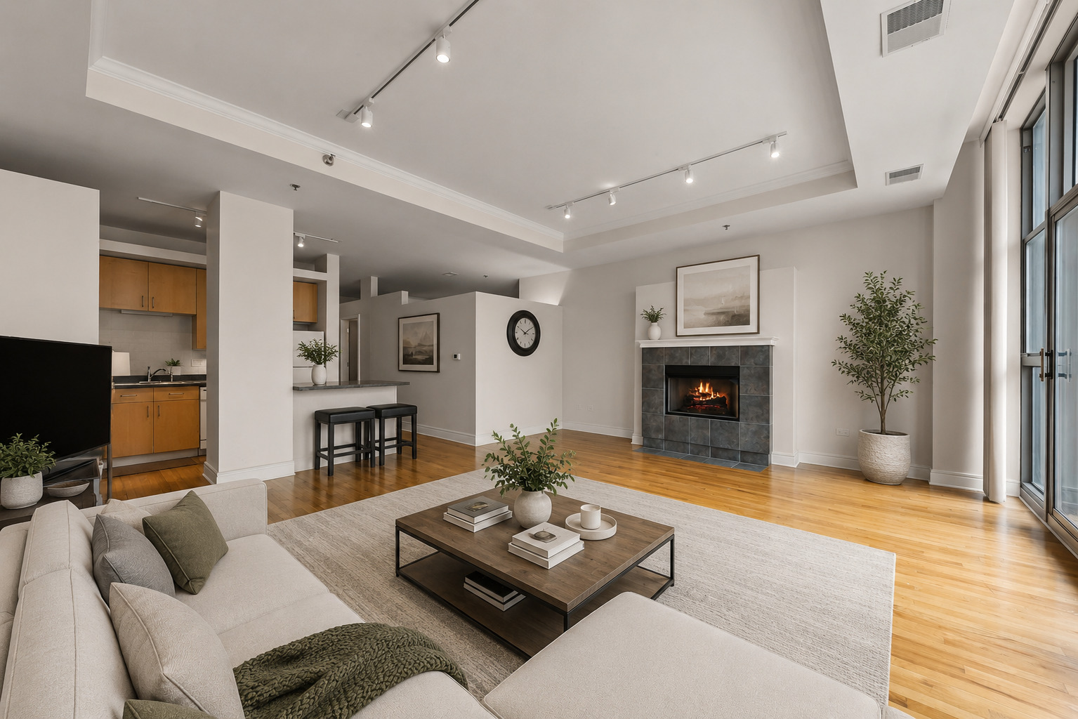 212 W Washington Avenue 1508