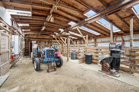 Tiny photo for 20213 Stoney Island Avenue, Chicago Heights, IL 60411 (MLS # 12580132)