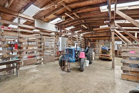 Tiny photo for 20213 Stoney Island Avenue, Chicago Heights, IL 60411 (MLS # 12580132)