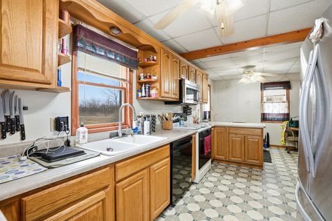 Tiny photo for 20213 Stoney Island Avenue, Chicago Heights, IL 60411 (MLS # 12580132)