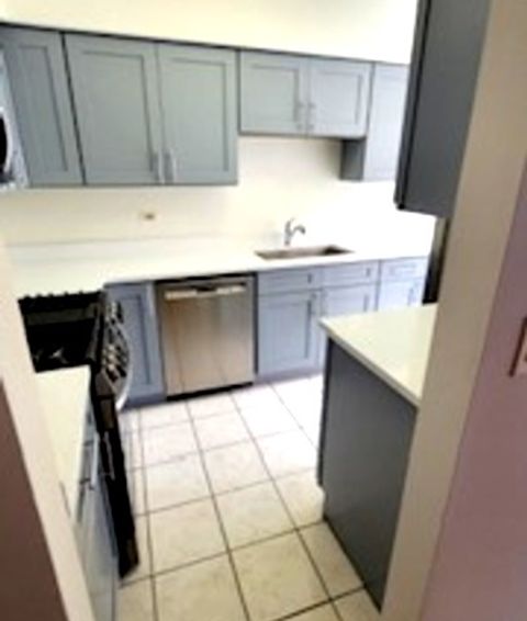 Tiny photo for Palatine, IL 60067 (MLS # 12602026)