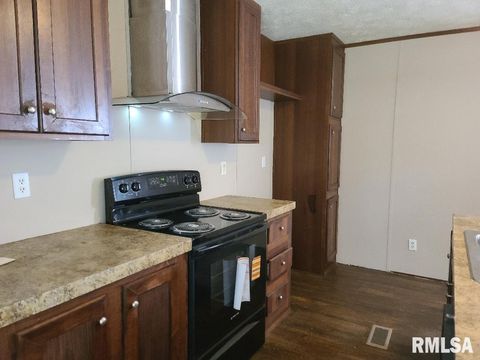 Tiny photo for 4427 HARVEY Street, Coello, IL 62825 (MLS # EB460092)