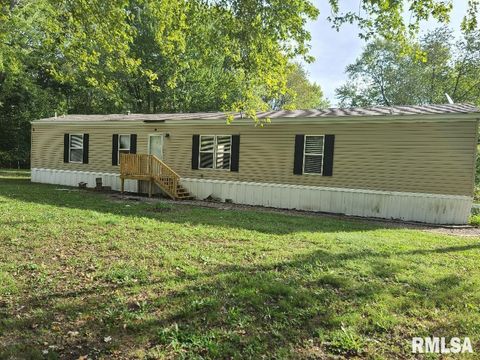 Photo of 4427 HARVEY Street, Coello, IL 62825 (MLS # EB460092)