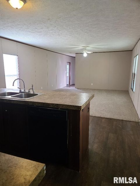 Tiny photo for 4427 HARVEY Street, Coello, IL 62825 (MLS # EB460092)