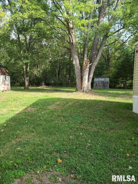 Tiny photo for 4427 HARVEY Street, Coello, IL 62825 (MLS # EB460092)