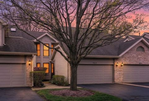 1015 N Auburn Woods Drive Palatine IL 60067