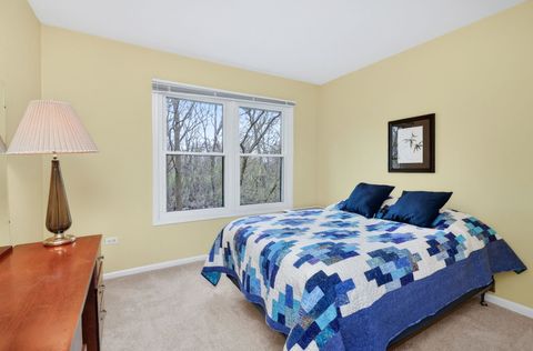 Tiny photo for 1015 N Auburn Woods Drive, Palatine, IL 60067 (MLS # 12620830)