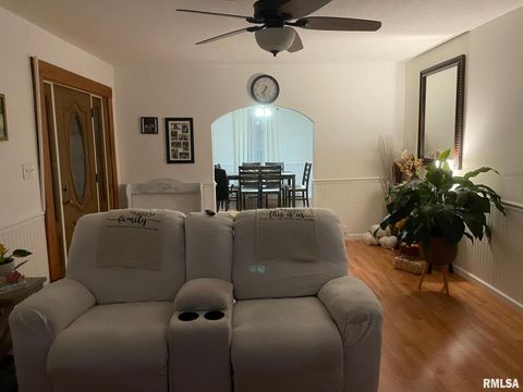 Tiny photo for 302 2ND Street, Carmi, IL 62821 (MLS # EB459969)