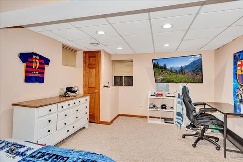 Tiny photo for Frankfort, IL 60423 (MLS # 12514852)