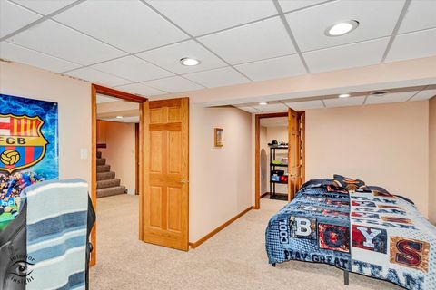 Tiny photo for Frankfort, IL 60423 (MLS # 12514852)