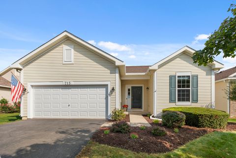 Photo of 715 S Wellston Lane, Romeoville, IL 60446 (MLS # 12482356)