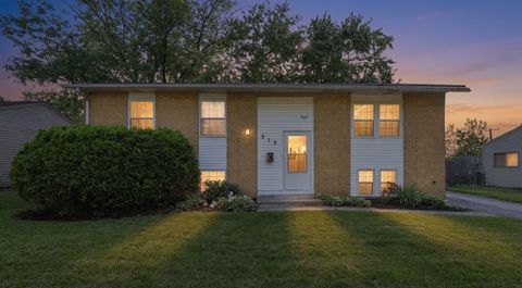 Photo of 818 Princeton Avenue, Matteson, IL 60443 (MLS # 12661805)