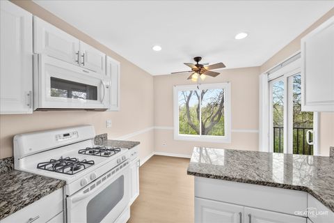 Tiny photo for Woodridge, IL 60517 (MLS # 12626862)