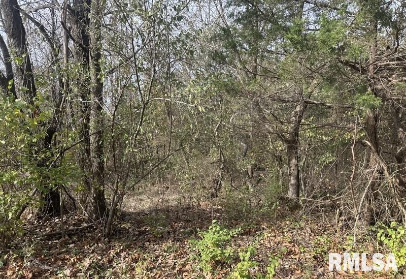 Lot 177 SYCAMORE Street