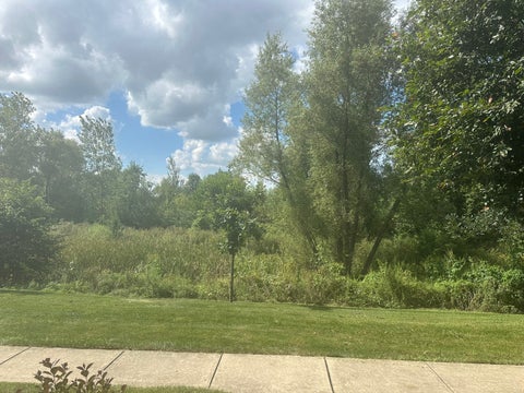 Tiny photo for 2482 Anna Way, Elgin, IL 60124 (MLS # 12744176)