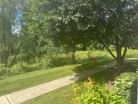 Tiny photo for 2482 Anna Way, Elgin, IL 60124 (MLS # 12744176)
